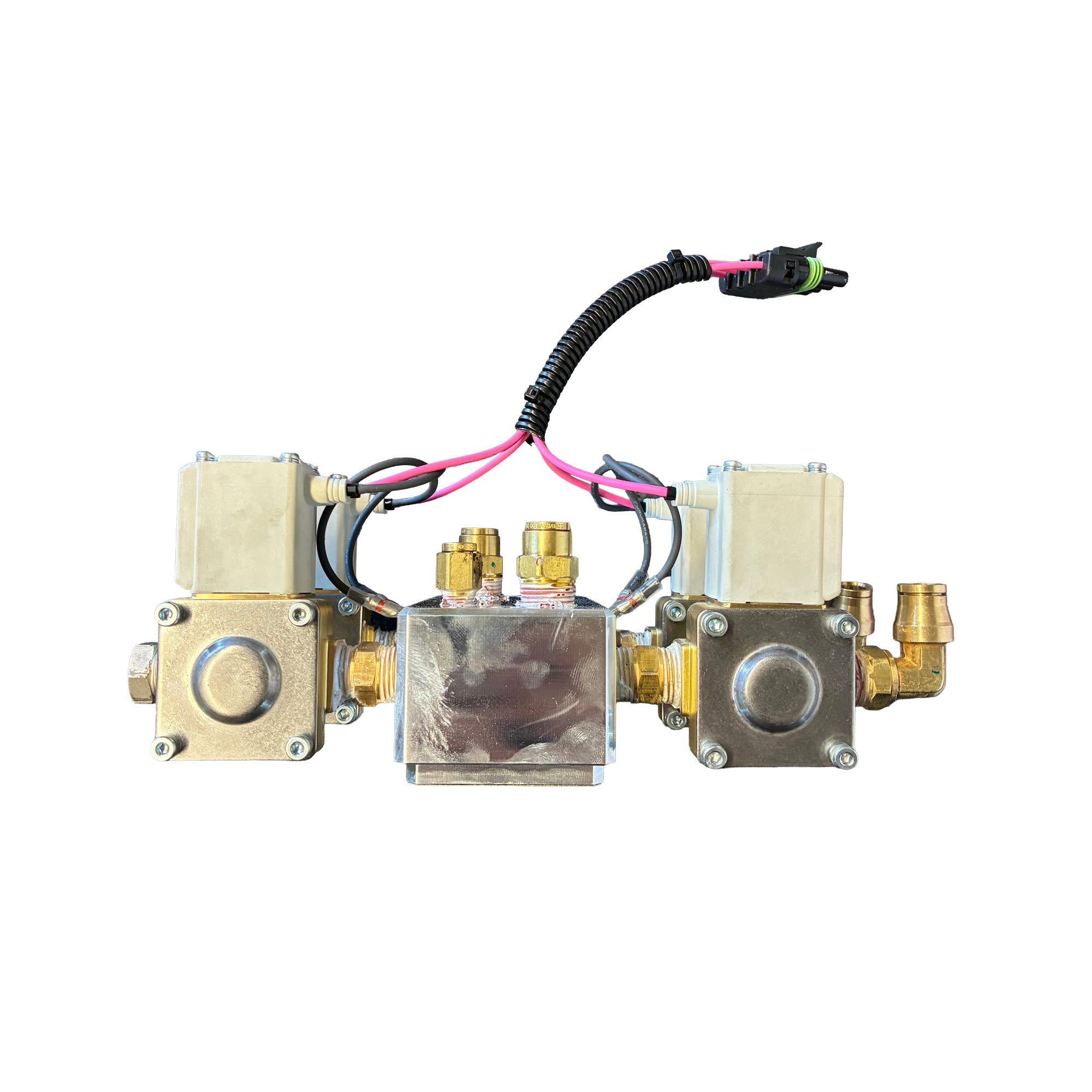 Air Valve Assembly with Check Valves/Fittings