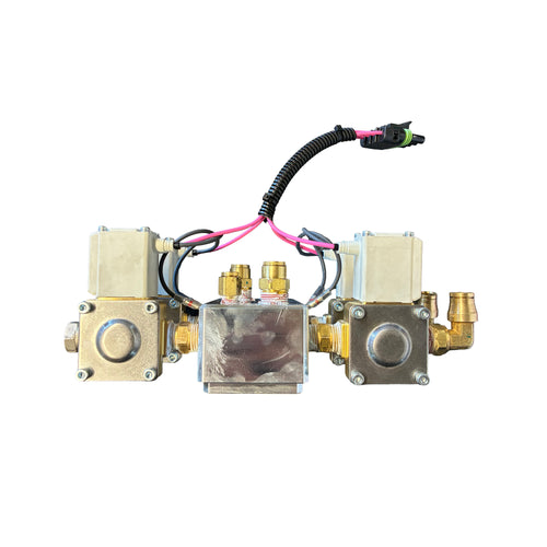 Air Valve Assembly with Check Valves/Fittings